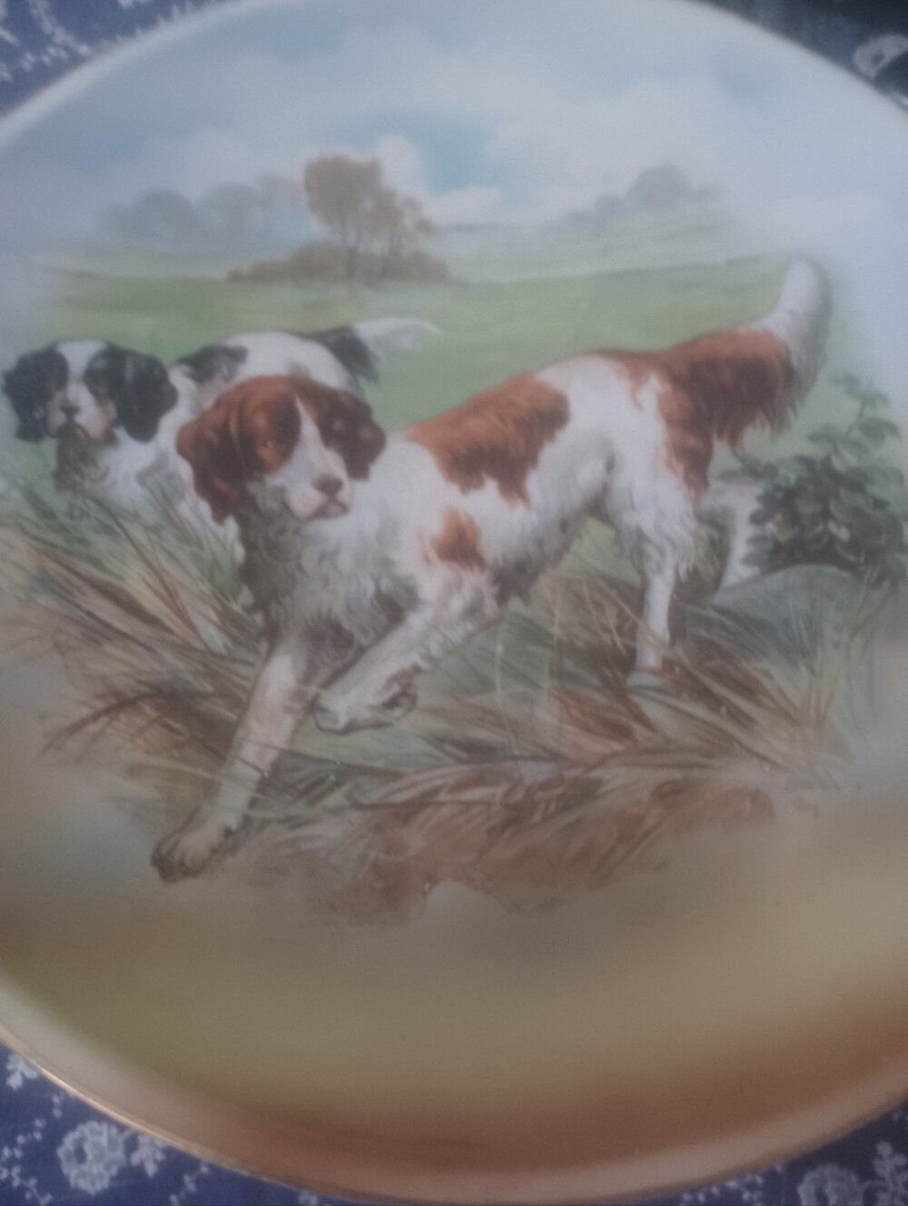 Antique English Setters Hunting Dog 8 Inch Plate From 1930.